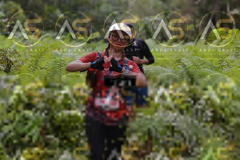 Photo ID 8555151