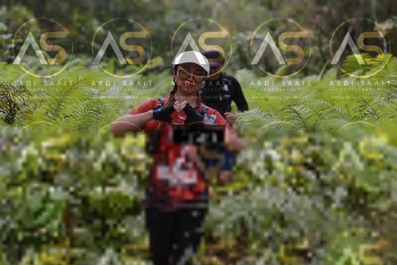 Photo ID 8555165