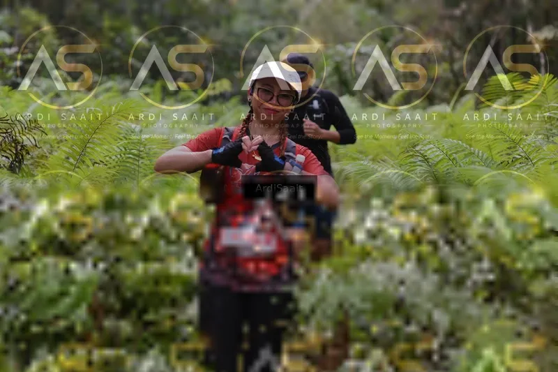 Photo ID 8555182