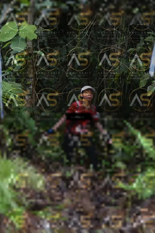Photo ID 8555236