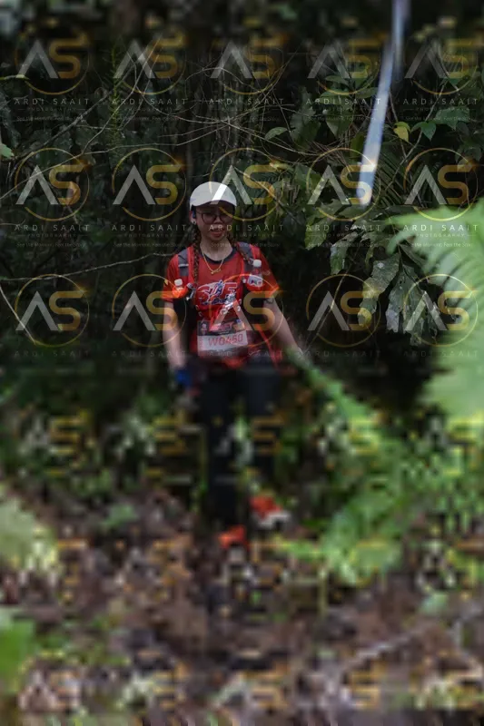 Photo ID 8555259