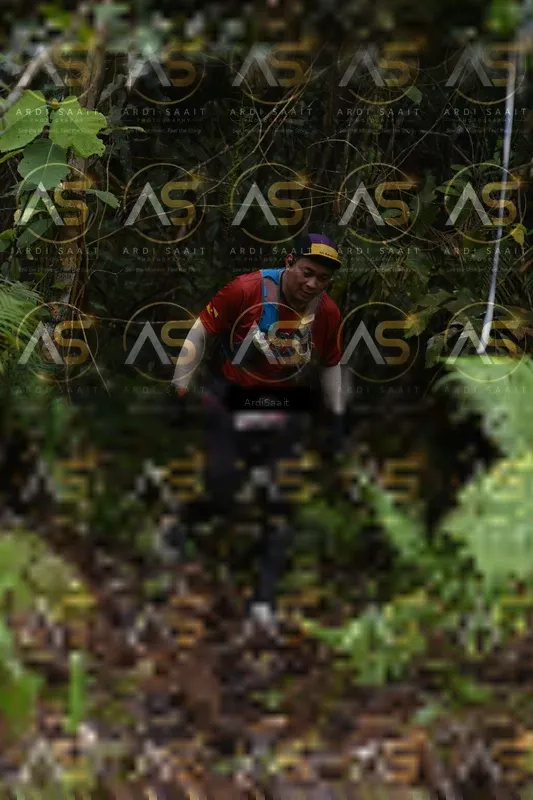Photo ID 8555644
