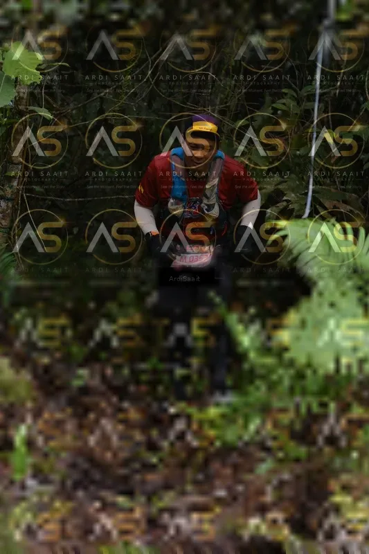 Photo ID 8555655