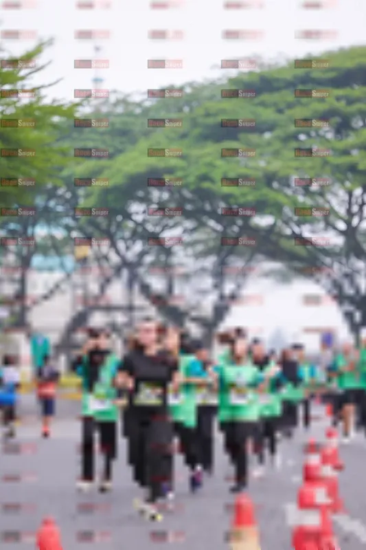 Photo ID 8556064