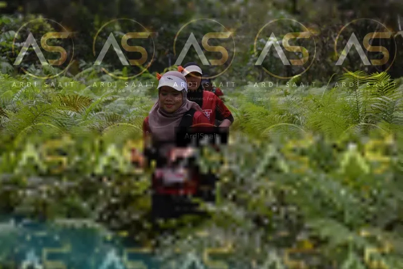 Photo ID 8556213