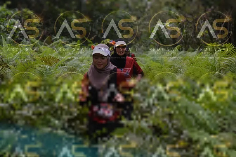 Photo ID 8556215