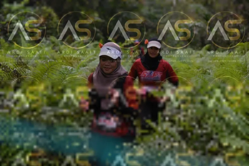 Photo ID 8556221