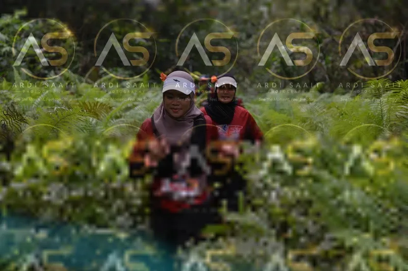 Photo ID 8556222