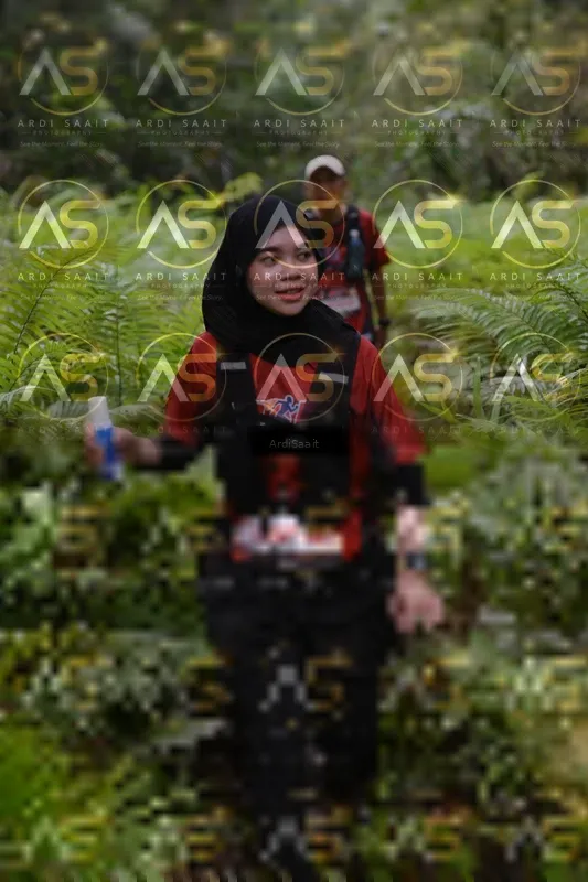 Photo ID 8556416