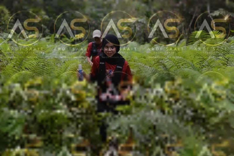 Photo ID 8556460