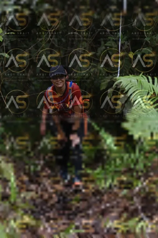 Photo ID 8556685