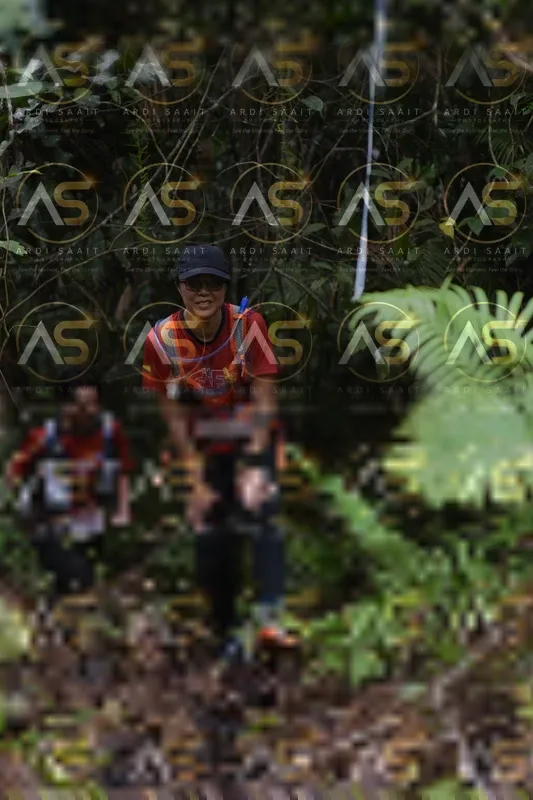 Photo ID 8556688