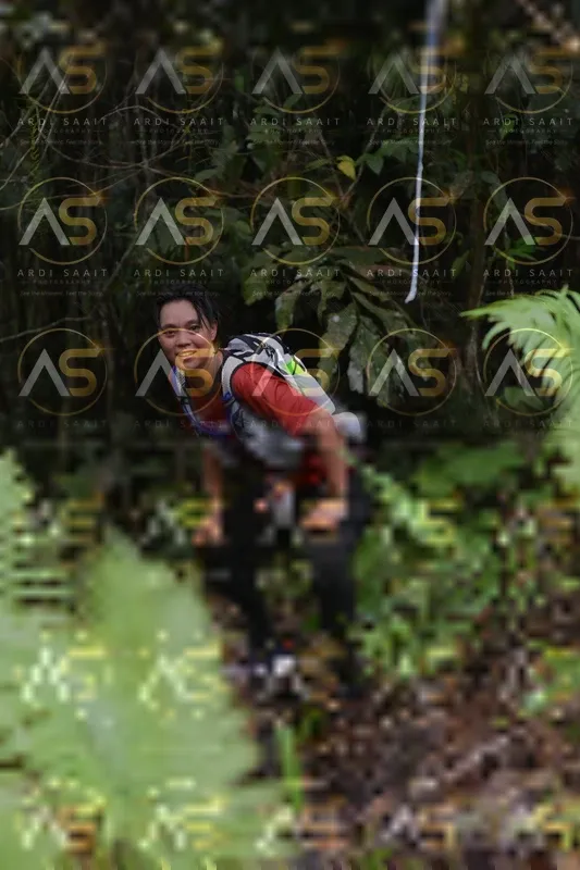 Photo ID 8556716