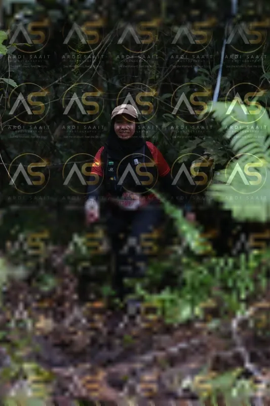 Photo ID 8557151