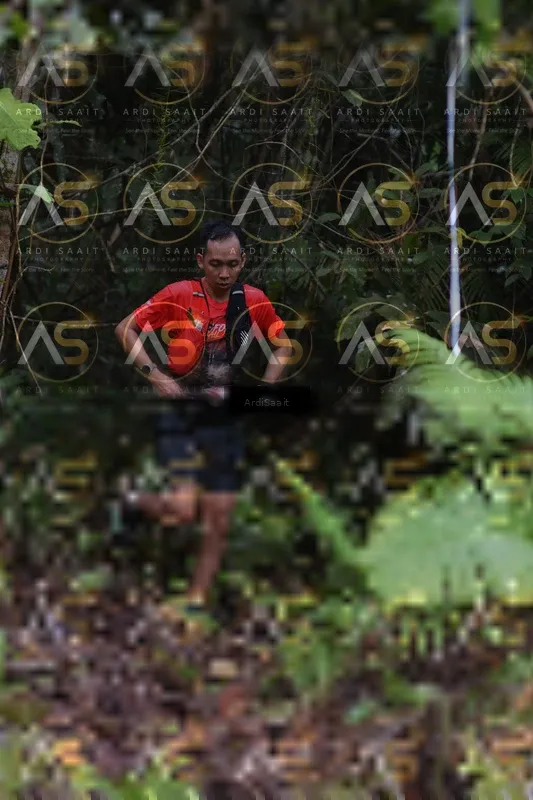 Photo ID 8557332
