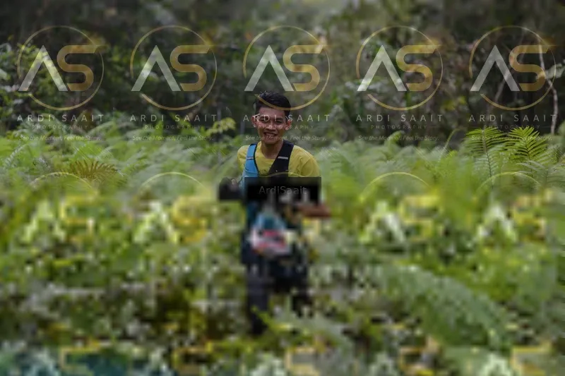 Photo ID 8557354