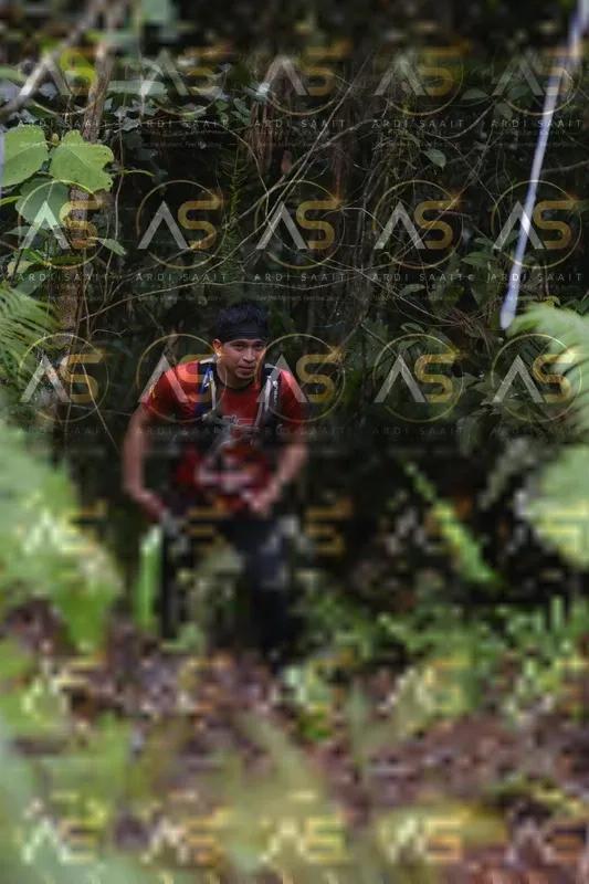 Photo ID 8557786