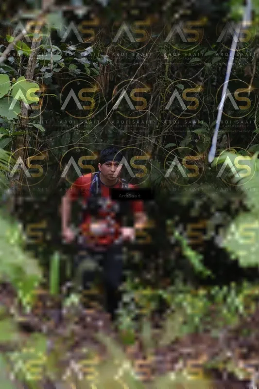 Photo ID 8557791