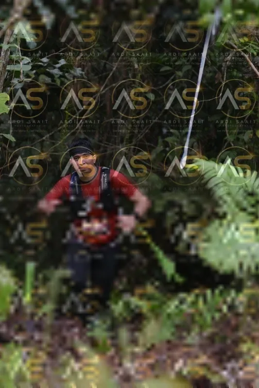 Photo ID 8557793
