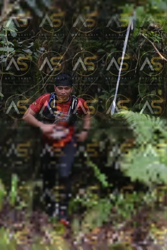 Photo ID 8557796