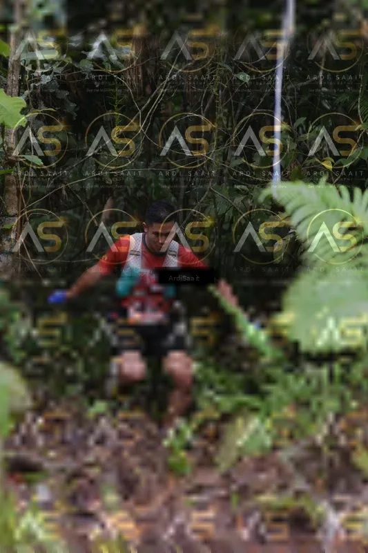 Photo ID 8557853