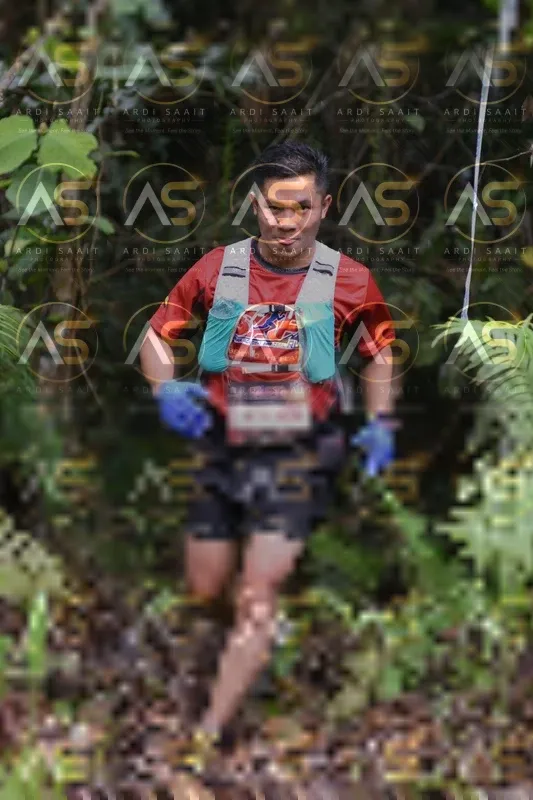 Photo ID 8557884