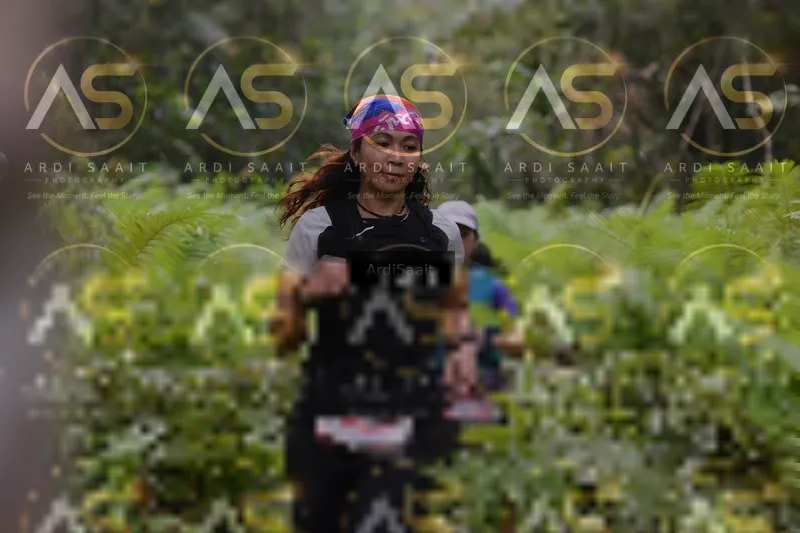 Photo ID 8557907
