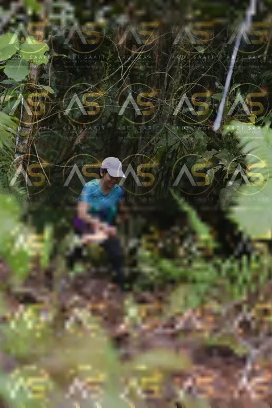 Photo ID 8557945