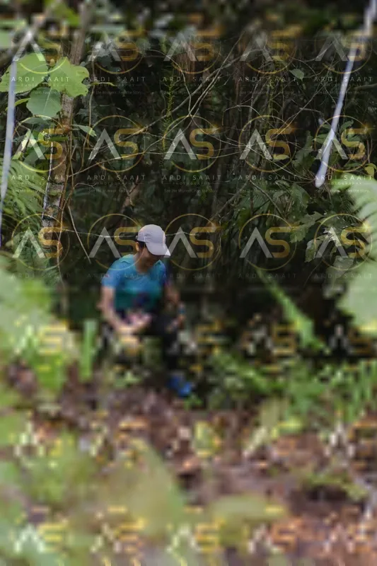 Photo ID 8557947