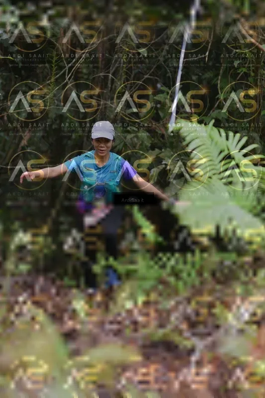 Photo ID 8557950
