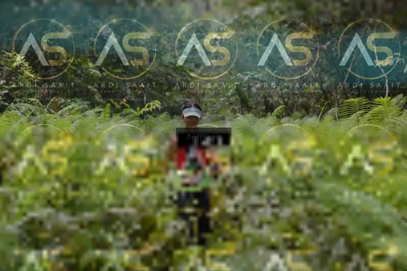 Photo ID 8558242