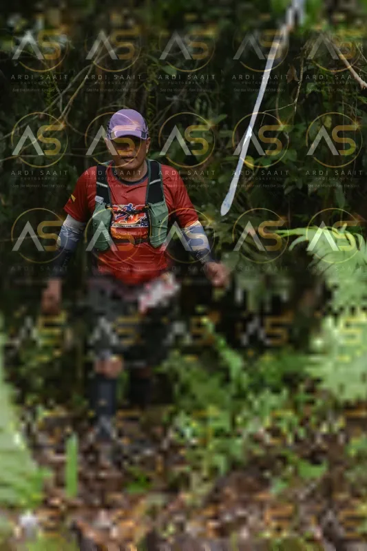Photo ID 8558268