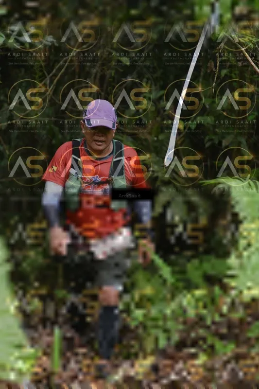 Photo ID 8558278