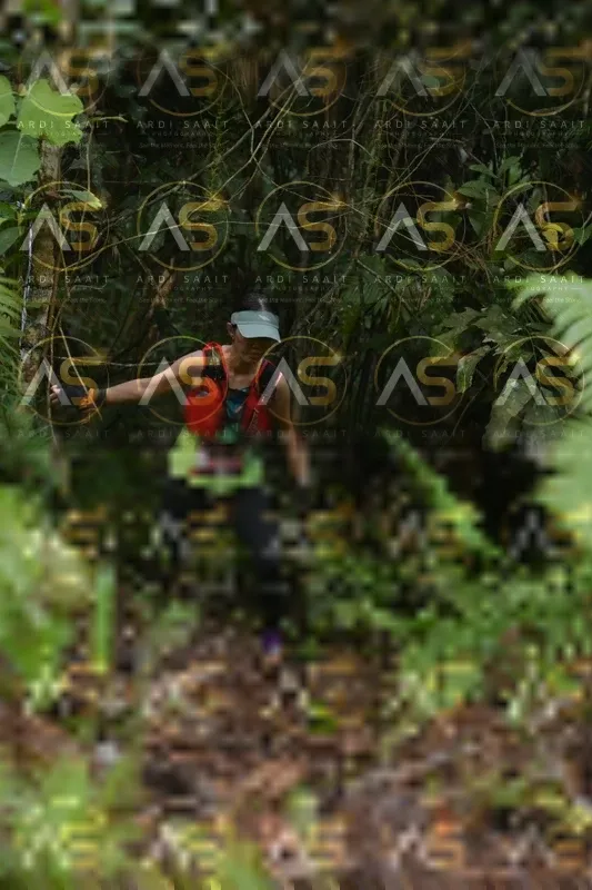 Photo ID 8558288