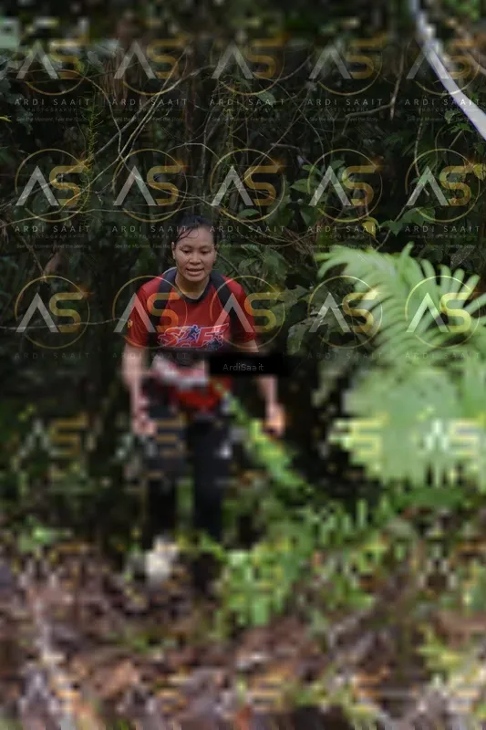 Photo ID 8558456