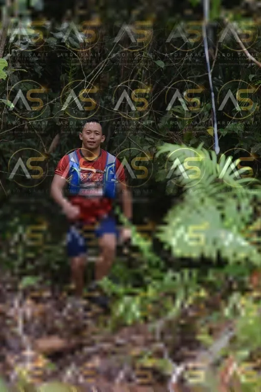 Photo ID 8558546
