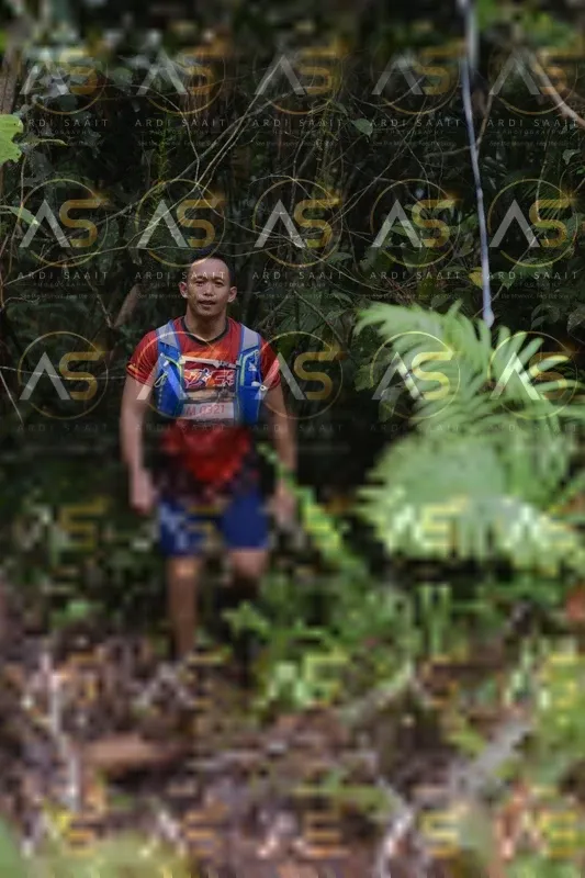 Photo ID 8558550