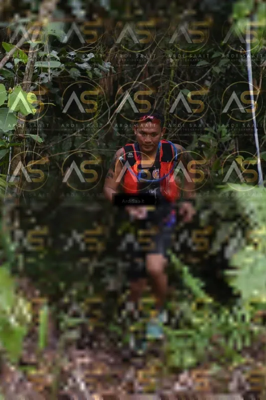 Photo ID 8558687