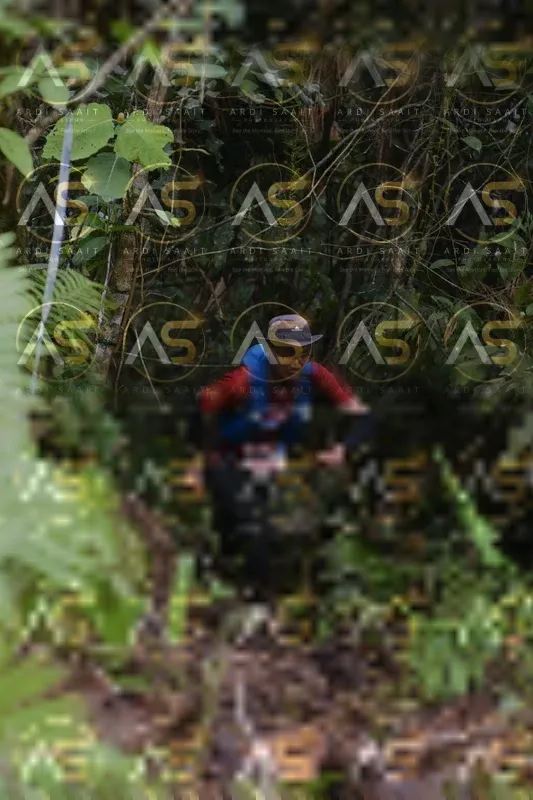 Photo ID 8558694