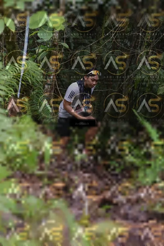 Photo ID 8558858