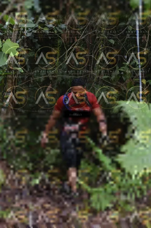 Photo ID 8558966