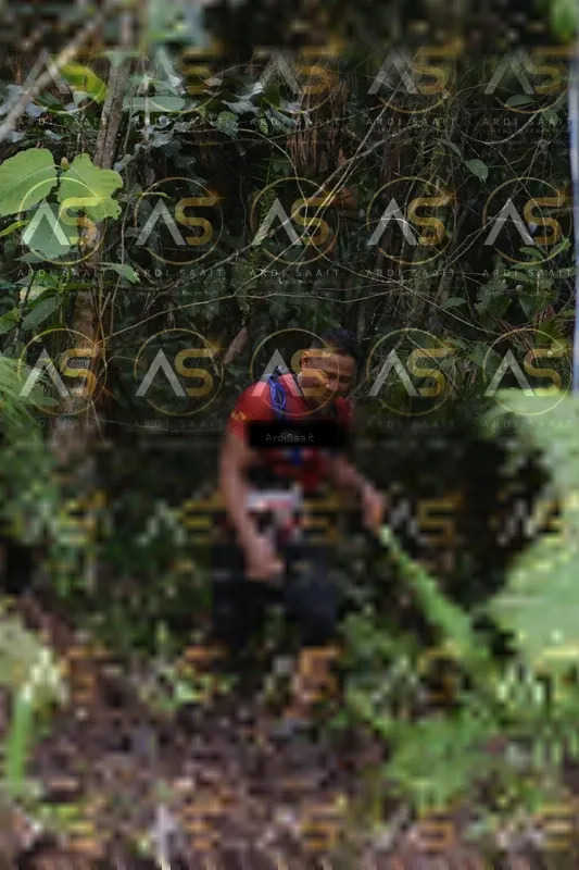 Photo ID 8558985