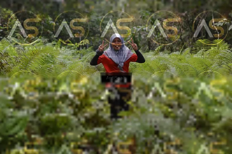 Photo ID 8558993