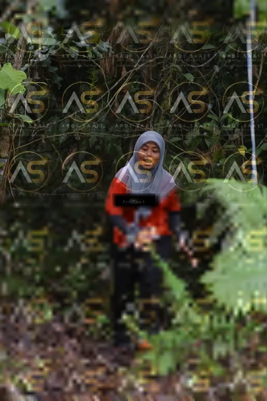 Photo ID 8559032