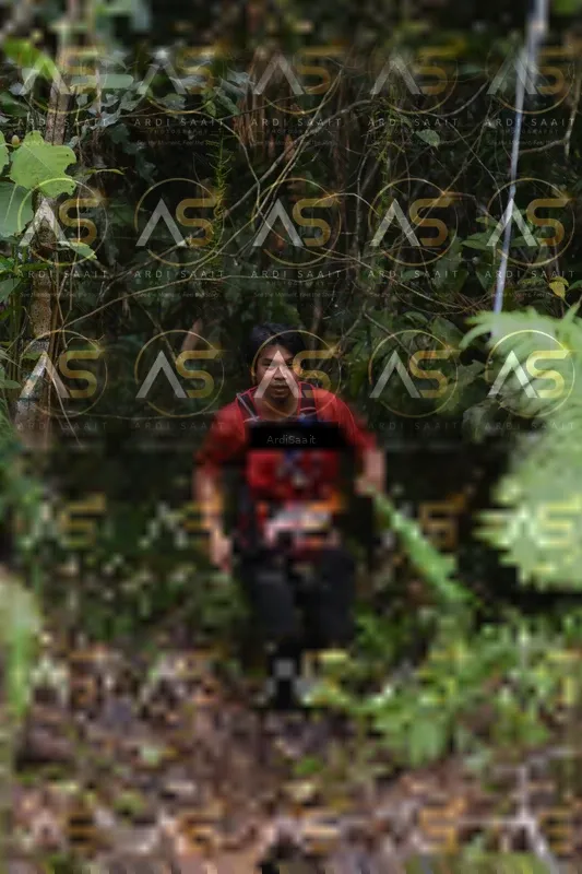 Photo ID 8559066