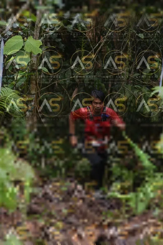 Photo ID 8559069