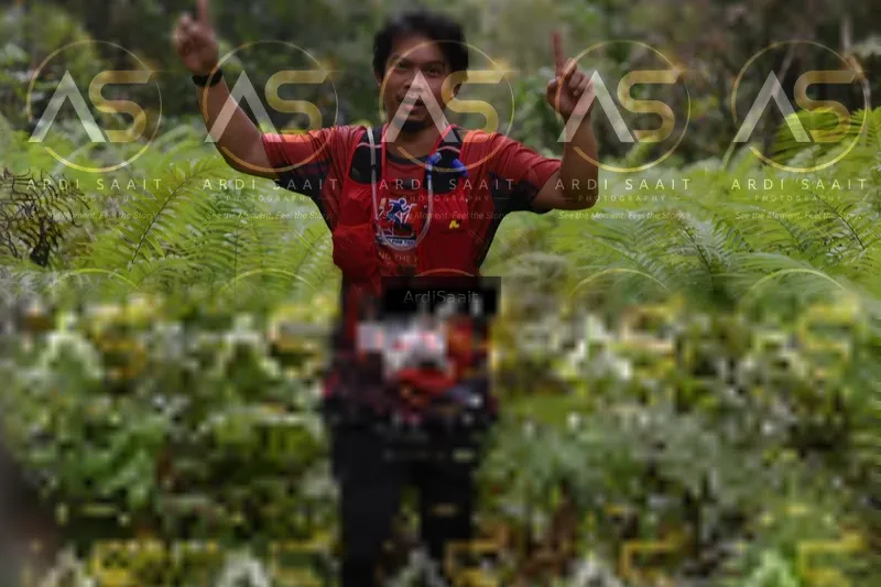Photo ID 8559071
