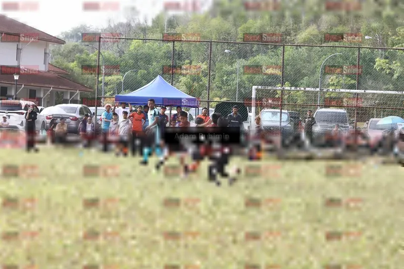 Photo ID 8562078
