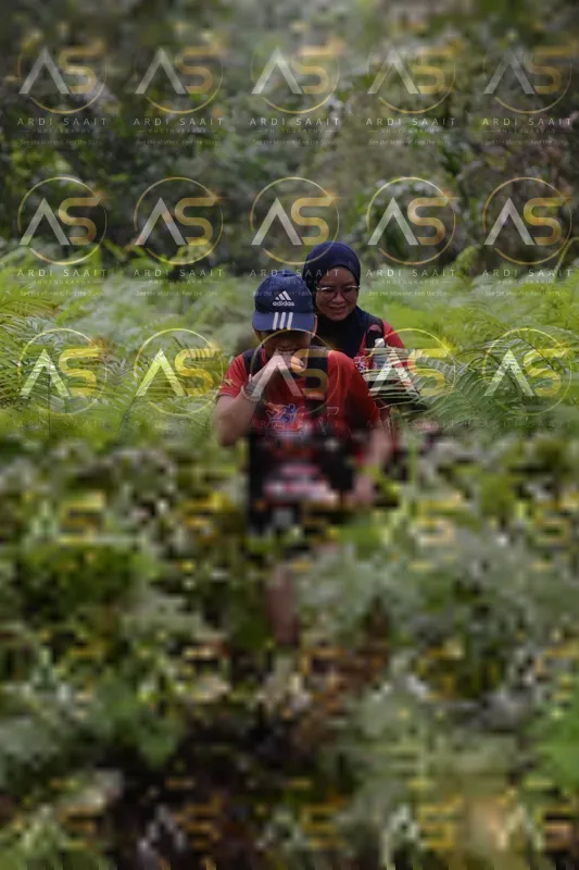 Photo ID 8562304