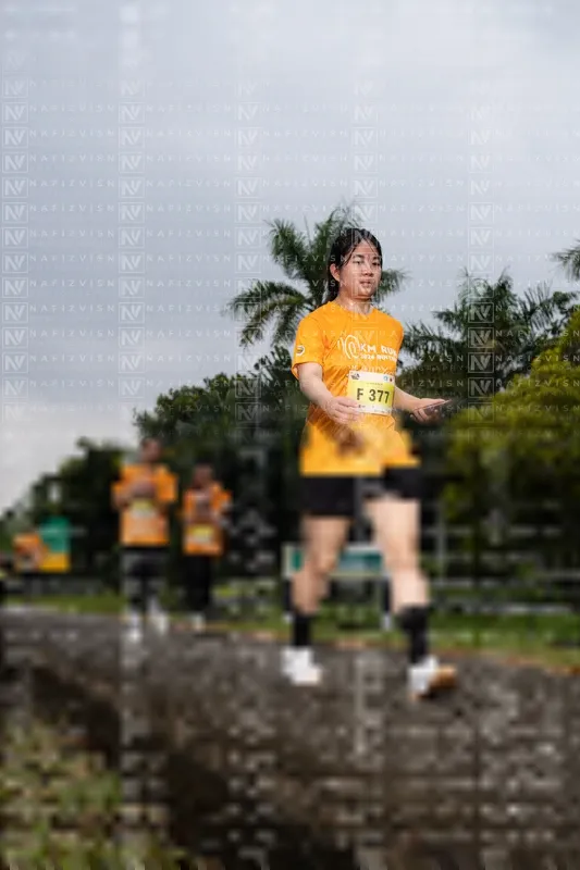 Photo ID 8562683